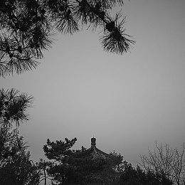 《雨中冒险2》原开发者讨论游戏现状 已修复2个BUG